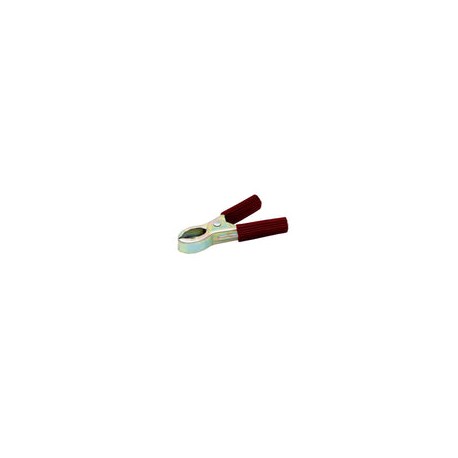 Caiman Kley chico 50 amp rojo