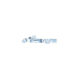 Abrazadera latintul sinfin inox 10pza 2