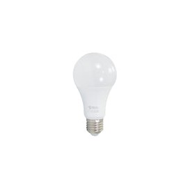 Foco Teco bulbo led 12w eco
