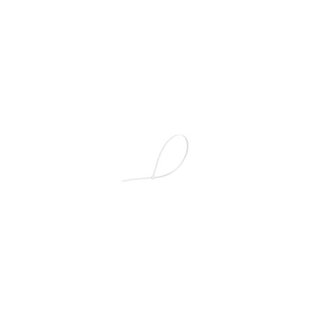 Cincho Sanelec 30cm x 4.7mm